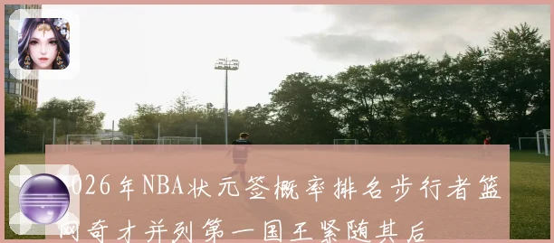 2026年NBA状元签概率排名步行者篮网奇才并列第一国王紧随其后